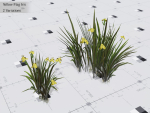 Nature Assets - Lake Plants