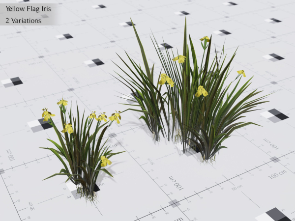 Nature Assets - Lake Plants