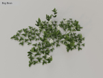 Nature Assets - Lake Plants