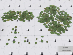 Nature Assets - Lake Plants