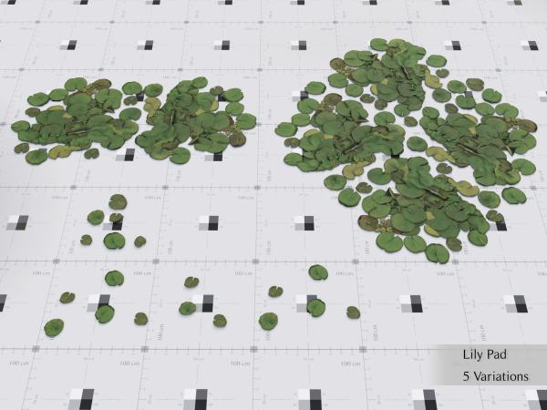 Nature Assets - Lake Plants