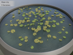 Nature Assets - Lake Plants