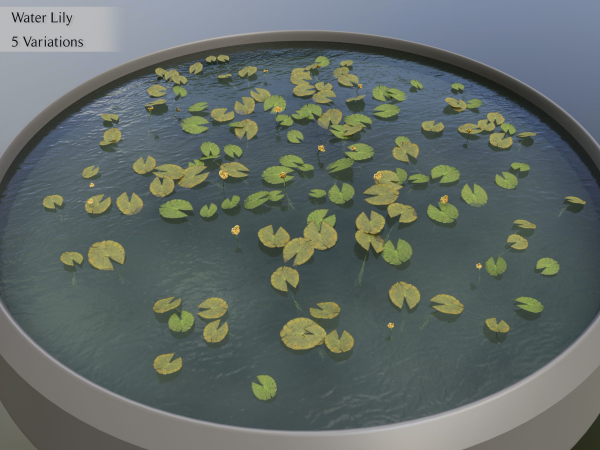 Nature Assets - Lake Plants