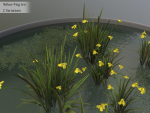 Nature Assets - Lake Plants