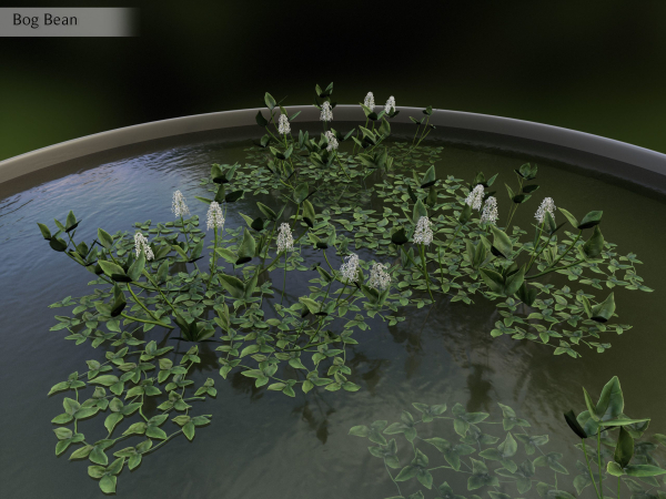 Nature Assets - Lake Plants