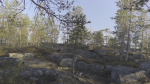 Nature HDRI - Forest Glade
