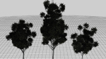 Nature Tree