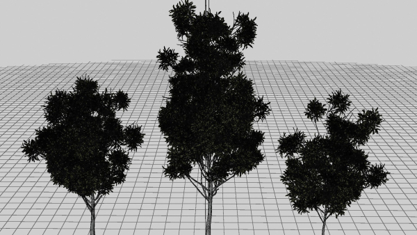 Nature Tree