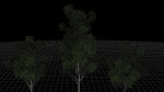 Nature Tree