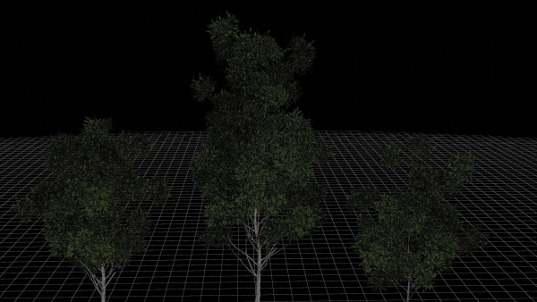 Nature Tree