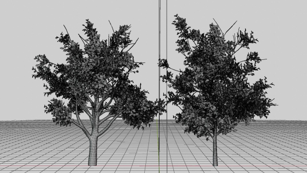 Nature Tree
