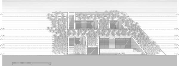 Ncaved House MOLD Architects