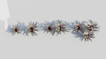 Neoregelia Carolinae a