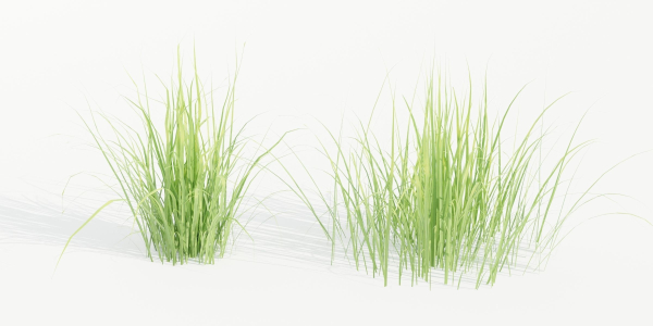 Nerium Oleander-Grass Garden vol 117-Blender