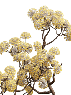 new-plant-edgeworthia-chrysantha-paperbush-tall-tree-3d-model-889c600d8b