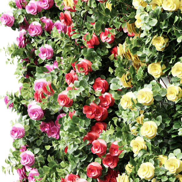 New Plant High detail Climbing Roses Cube Columns