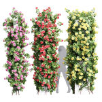 New Plant High detail Climbing Roses Cube Columns