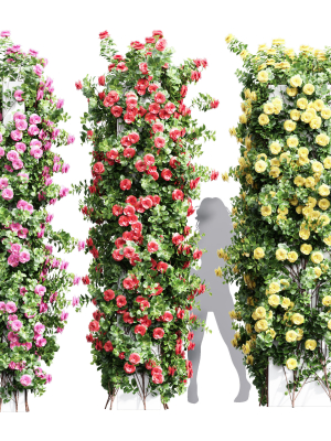New Plant High detail Climbing Roses Cube Columns