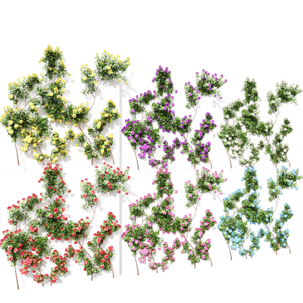 New Plant High detail Climbing Roses Wall02 Grow