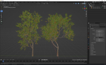 New Plant High detail Diospyros Kaki Persimmon