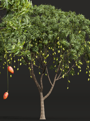 new-plant-high-detail-mangifera-indica-mango-3d-model-max-obj-fbx-mat