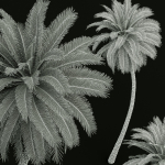 New Plant High detail Phoenix Sylvestris