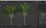 New Plant High detail Strelitzia Nicolai Medium