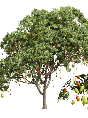 new-plant-mangifera-indica-mango-pear-pyrus-communis-green-3d-model-ae8ccc8738
