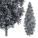 New Tree High detail Carpinus Betulus Bush