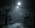 NIGHT FOREST PARK  FEELING FULL