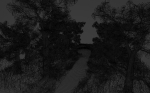NIGHT FOREST PARK  FEELING FULL