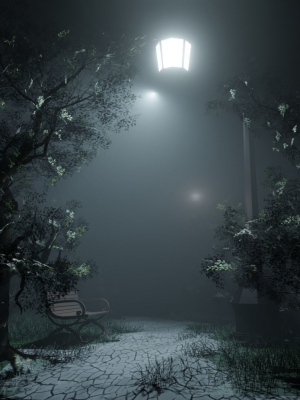 NIGHT FOREST PARK  FEELING FULL