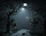 NIGHT FOREST PARK  FEELING FULL