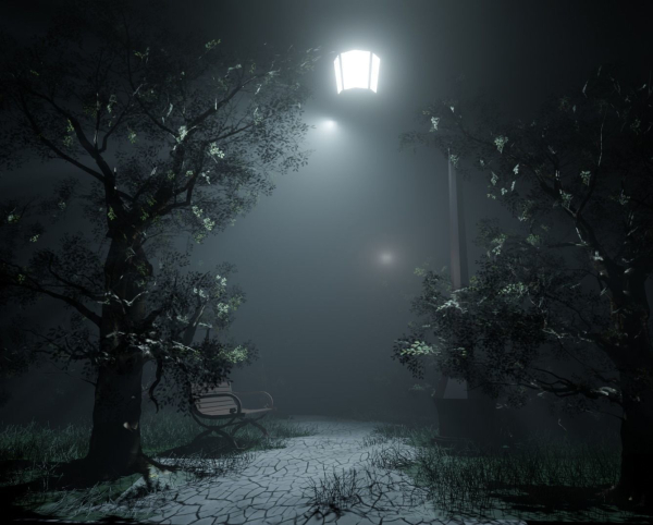 NIGHT FOREST PARK  FEELING FULL