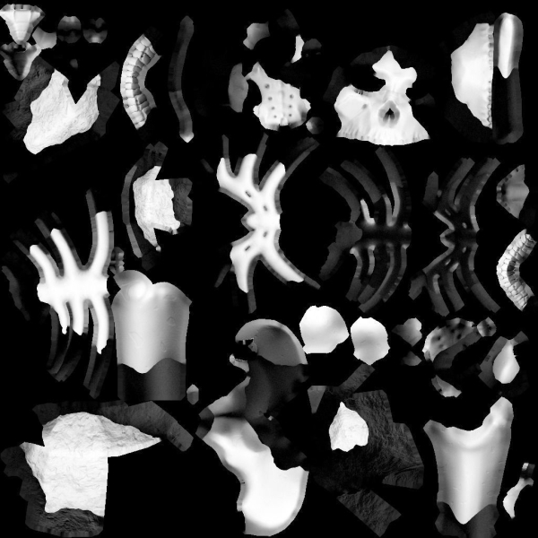 Night Jungle Scene