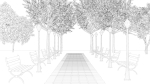 Night park