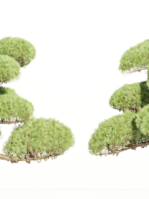 Niwaki trees for garden vol 151-Blender