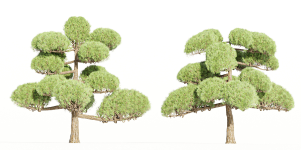 Niwaki trees for garden vol 151-Blender