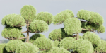 Niwaki trees for garden vol 151-Blender