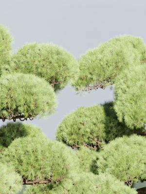 niwaki-trees-for-garden-vol-151-blender-3d-model-a1d2e4743e