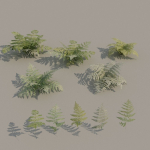 nordic forest plants A collection