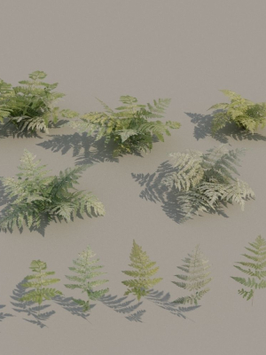 nordic-forest-plants-a-collection-3d-model-low-poly-max-obj-fbx
