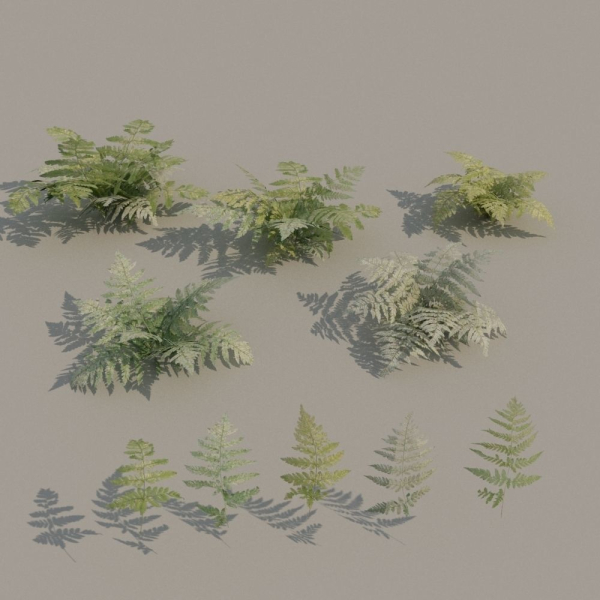 nordic forest plants A collection