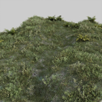 nordic forest plants A collection