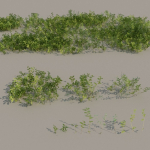 nordic forest plants A collection