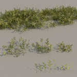 nordic forest plants A collection