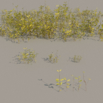 nordic forest plants A collection