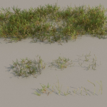 nordic forest plants A collection