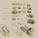 nordic forest plants A collection