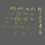 nordic forest plants A collection
